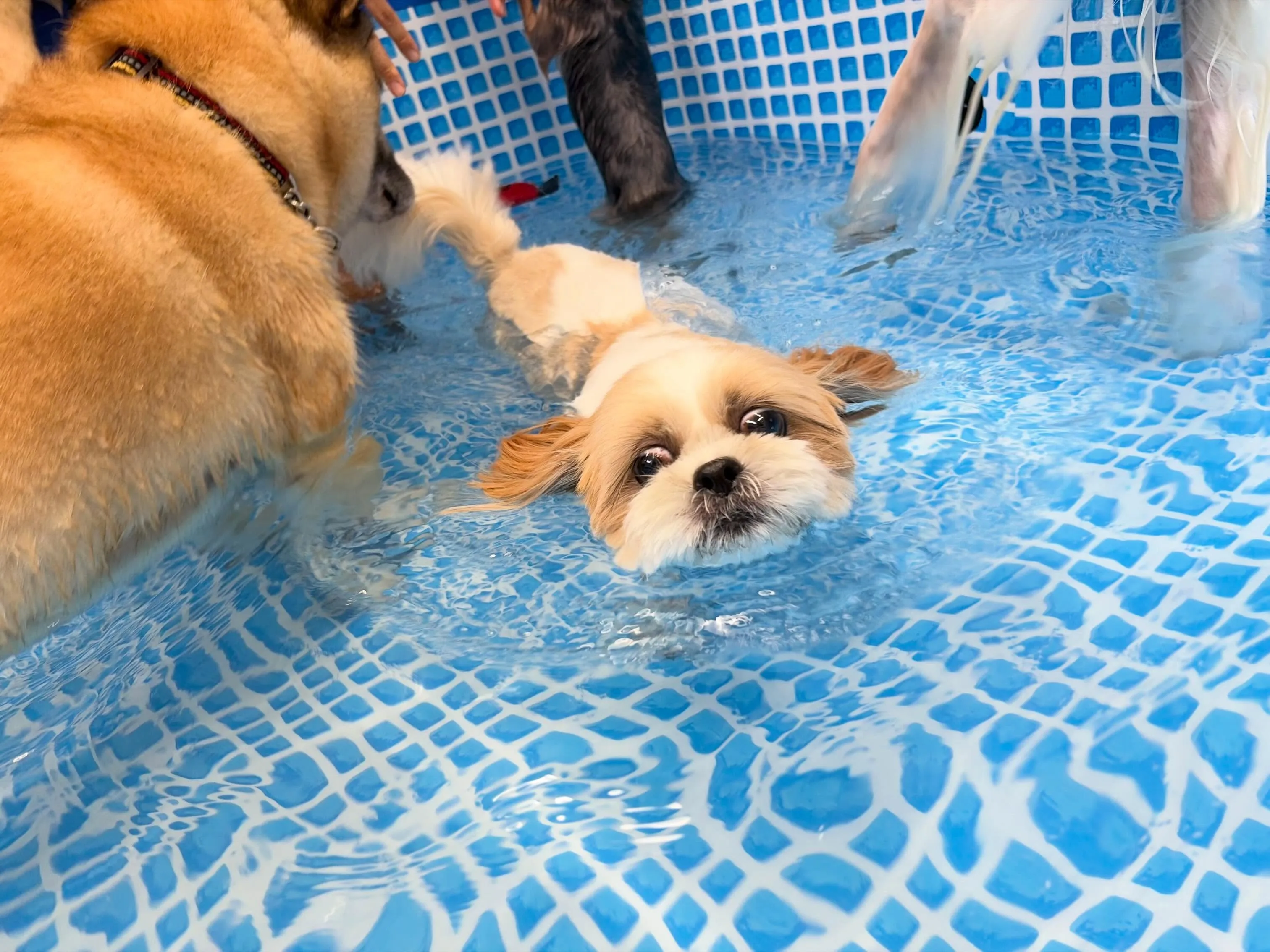 今日は水遊びイベント開催日でした🌊✨️