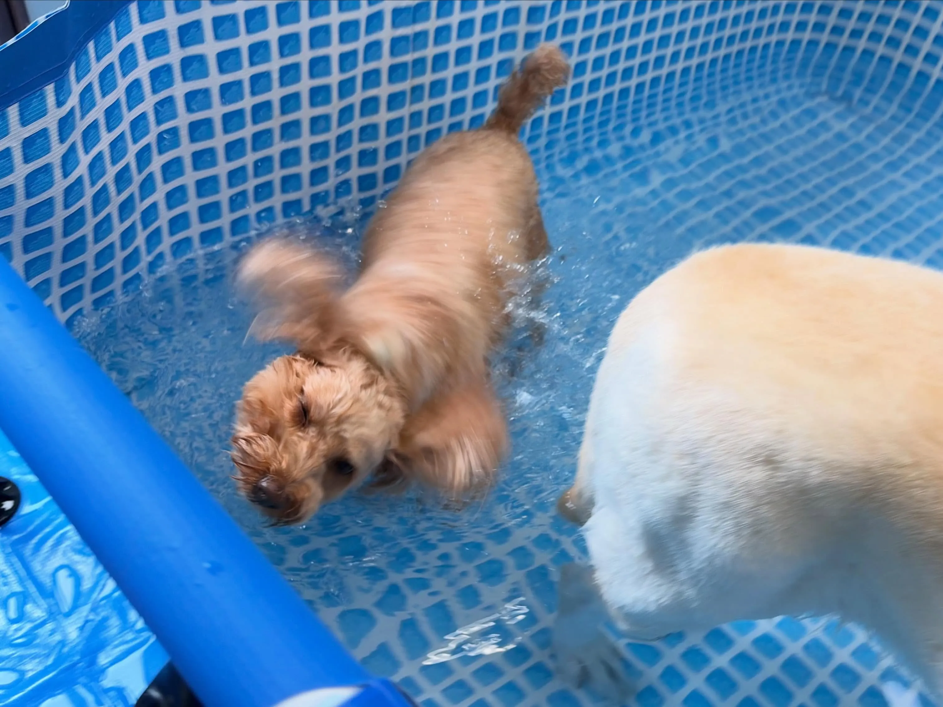 今日は水遊びイベント開催日でした🌊✨️