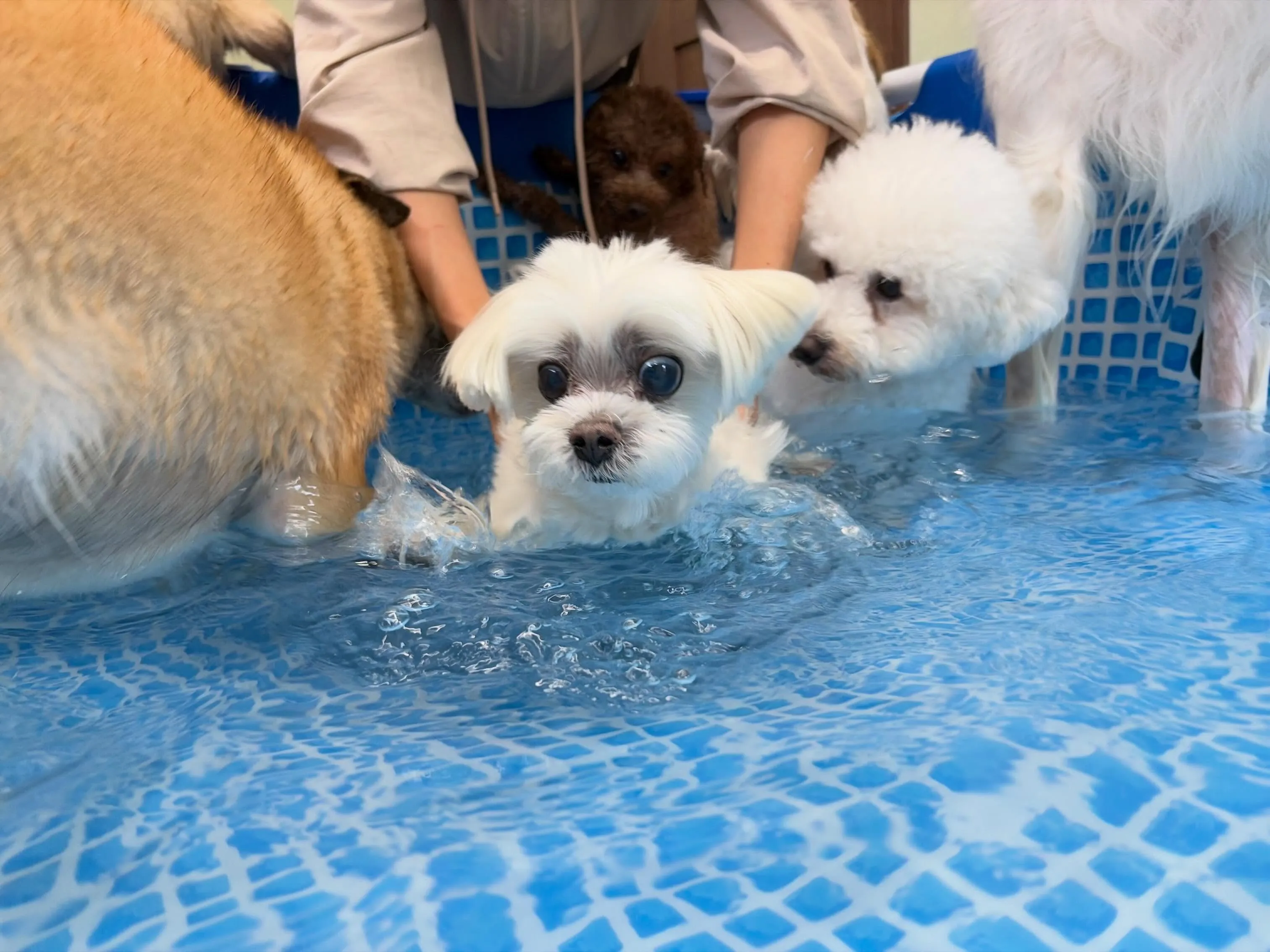 今日は水遊びイベント開催日でした🌊✨️