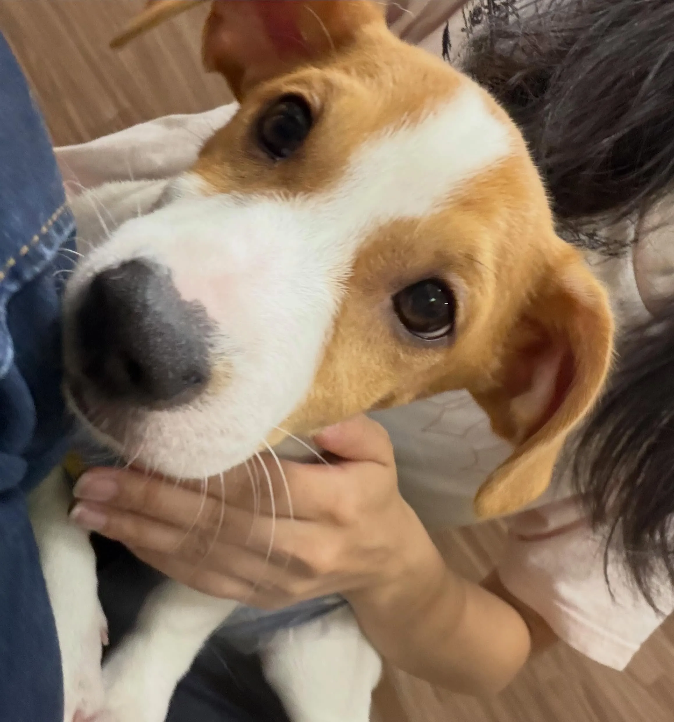 入会してくれたノアくんです❣️