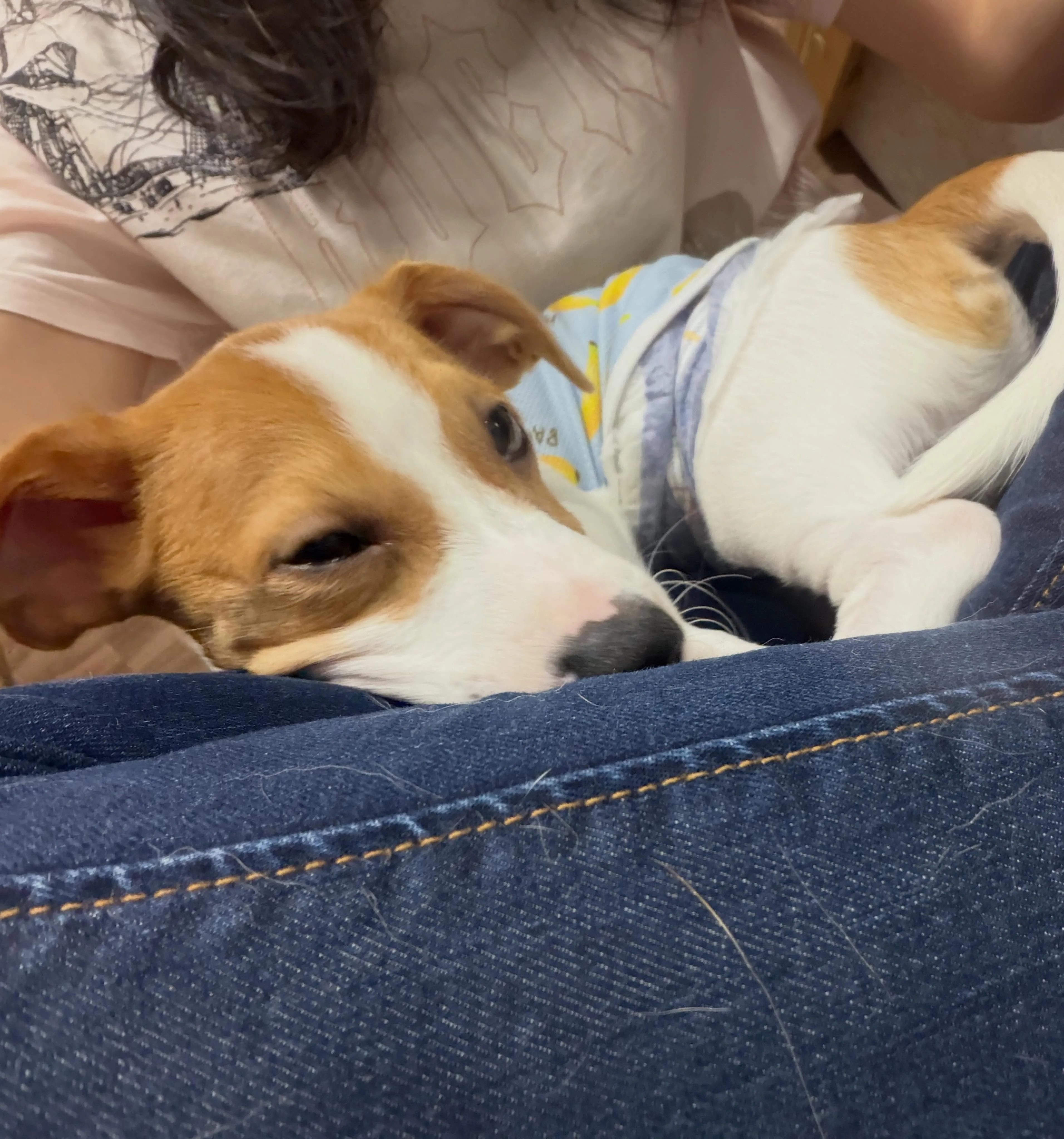 入会してくれたノアくんです❣️
