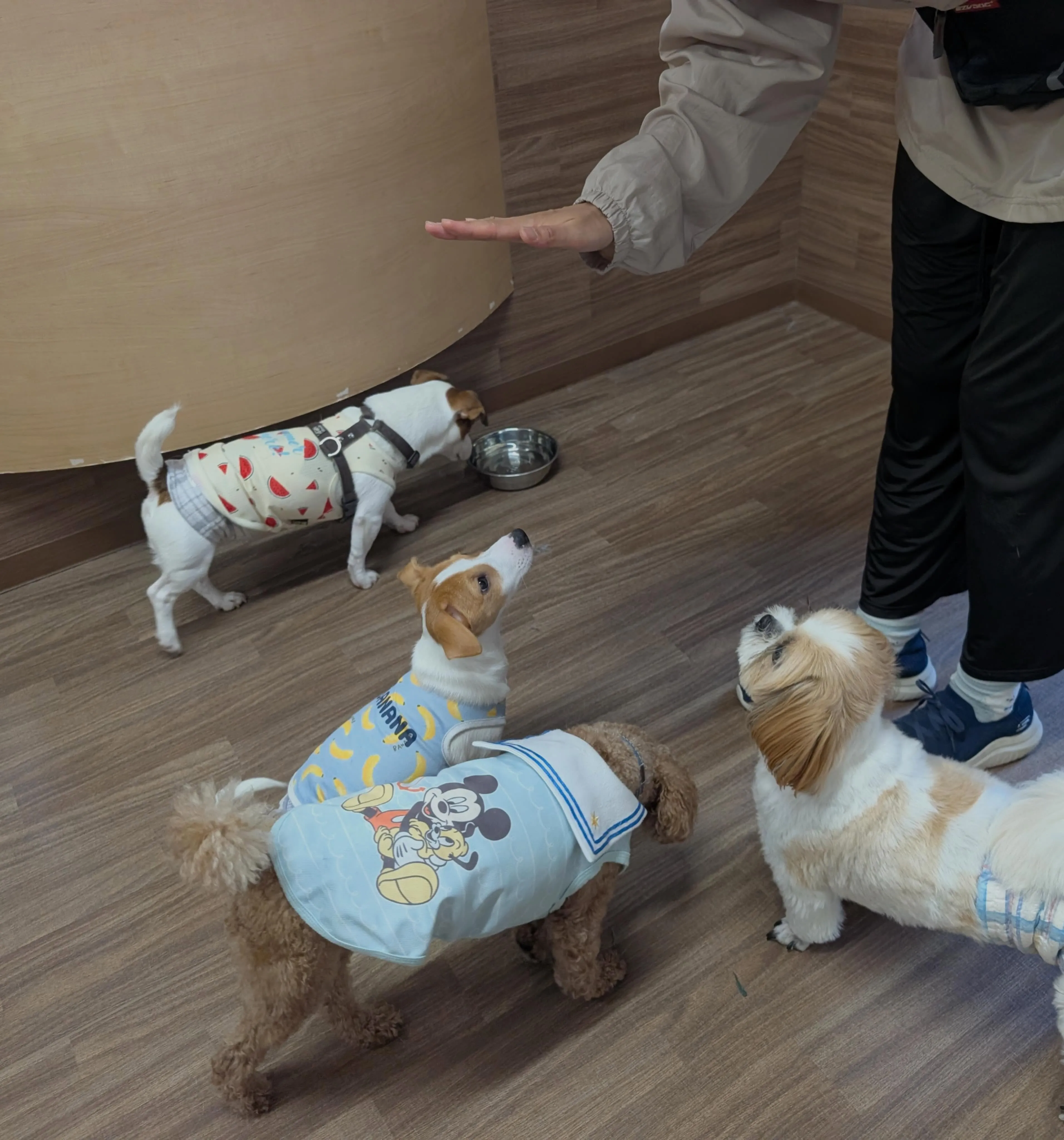 入会してくれたノアくんです❣️