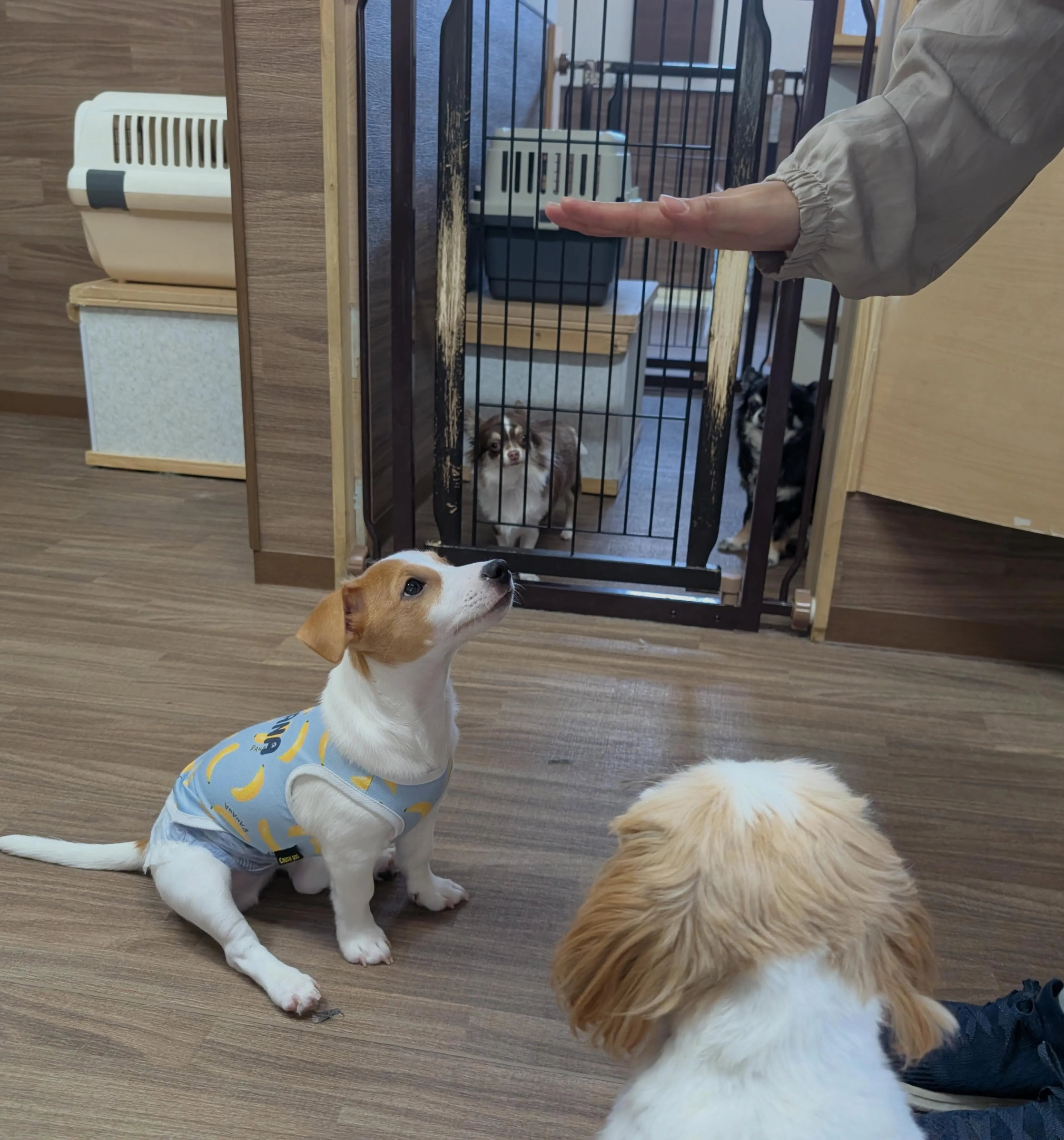 入会してくれたノアくんです❣️
