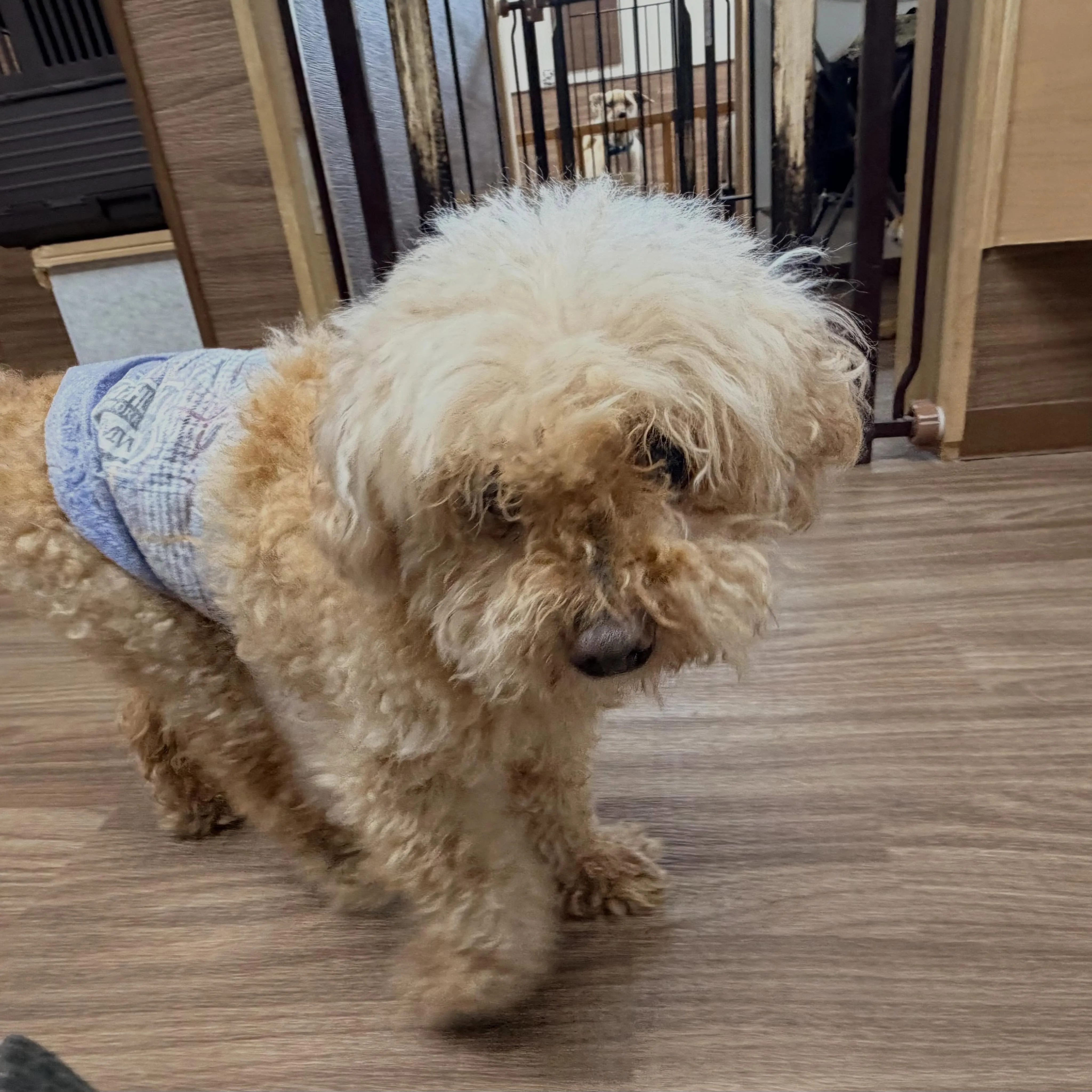 入会してくれたライトくんです😊