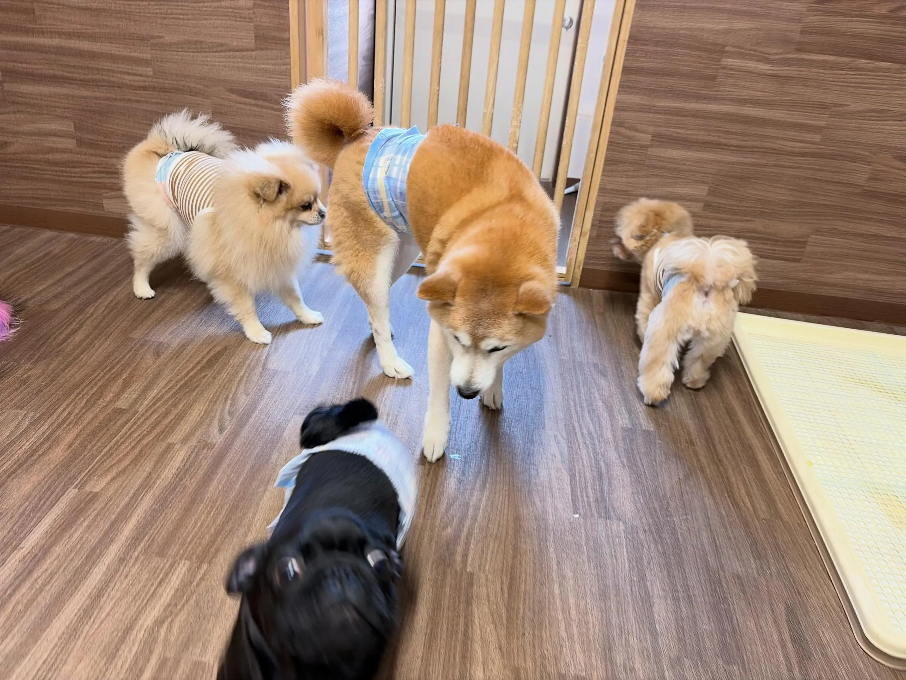 今日は年に2回のスタッフ勉強会の日でした😊