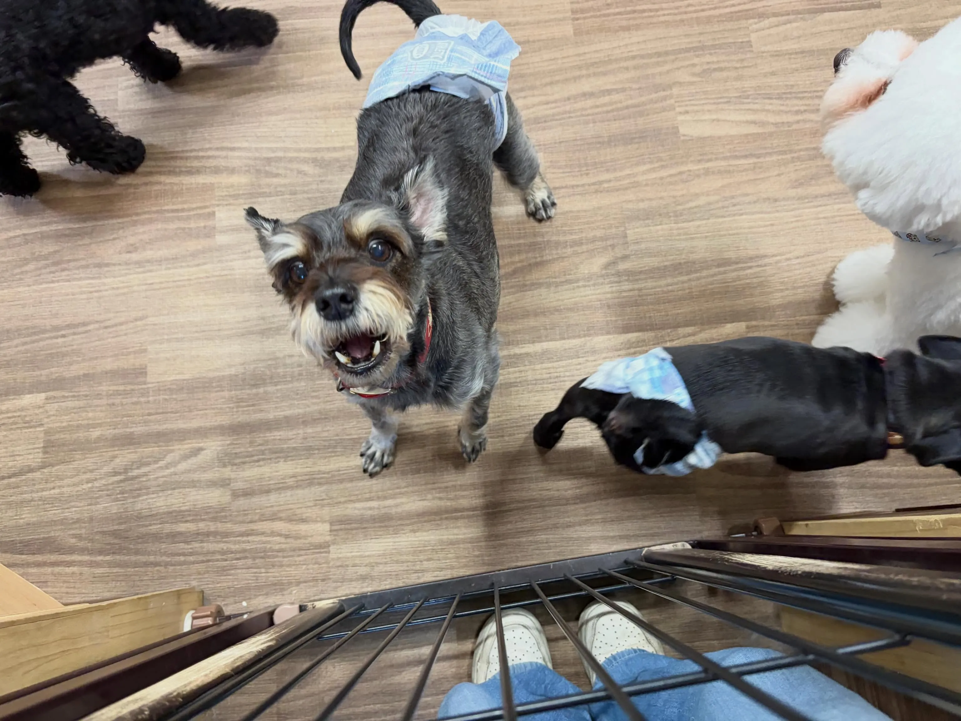 今日は年に2回のスタッフ勉強会の日でした😊