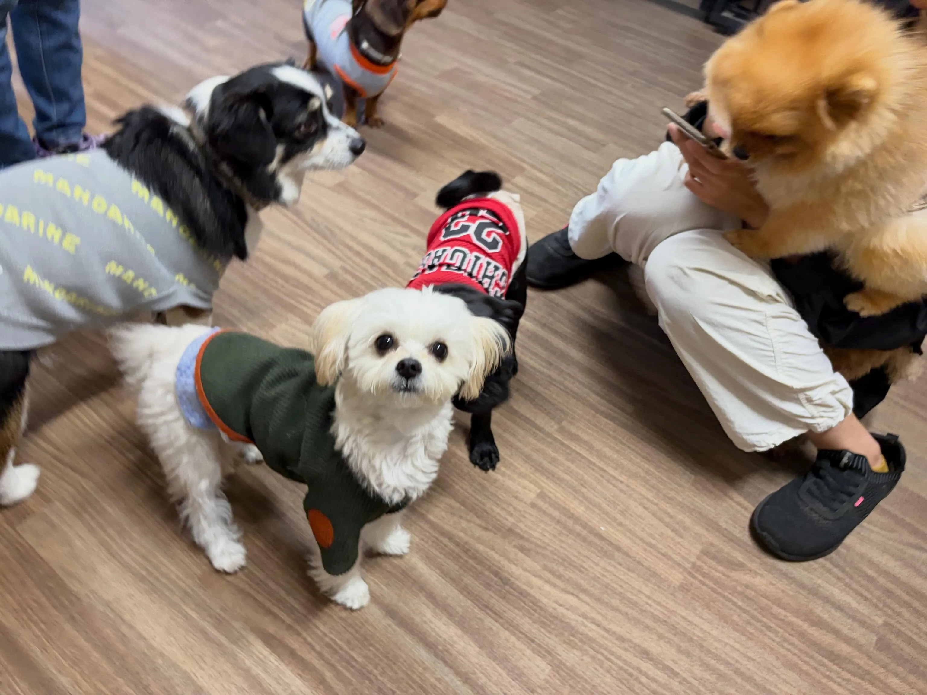 今日は年に2回のスタッフ勉強会の日でした😊