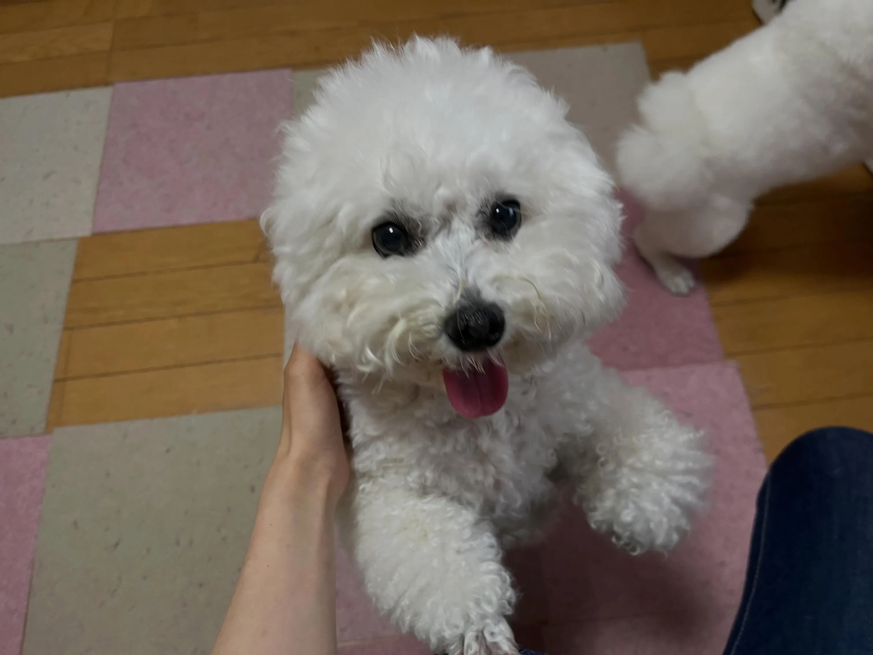 皆様、お盆休みはいかがでしたか？？🤗