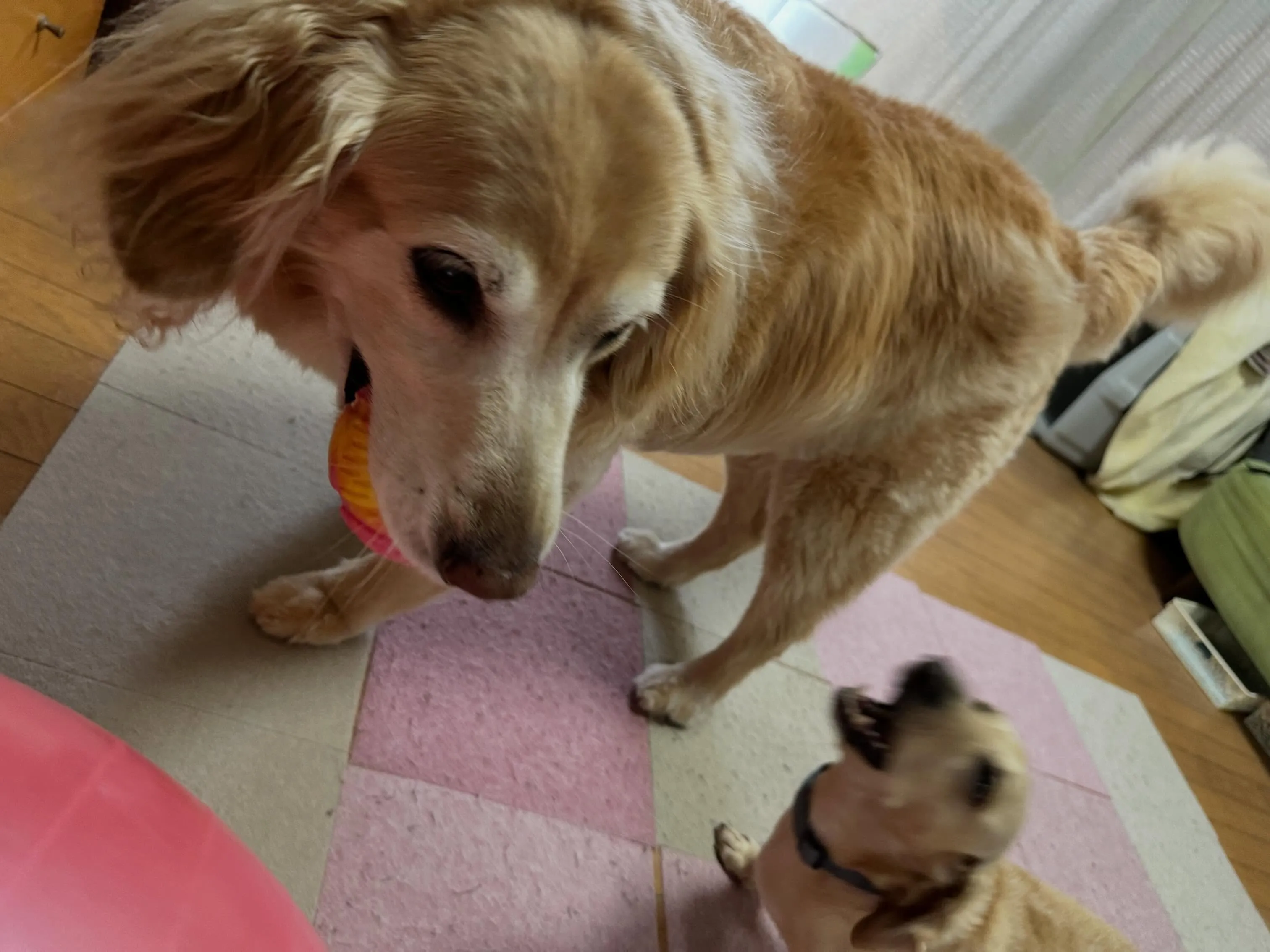 皆様、お盆休みはいかがでしたか？？🤗