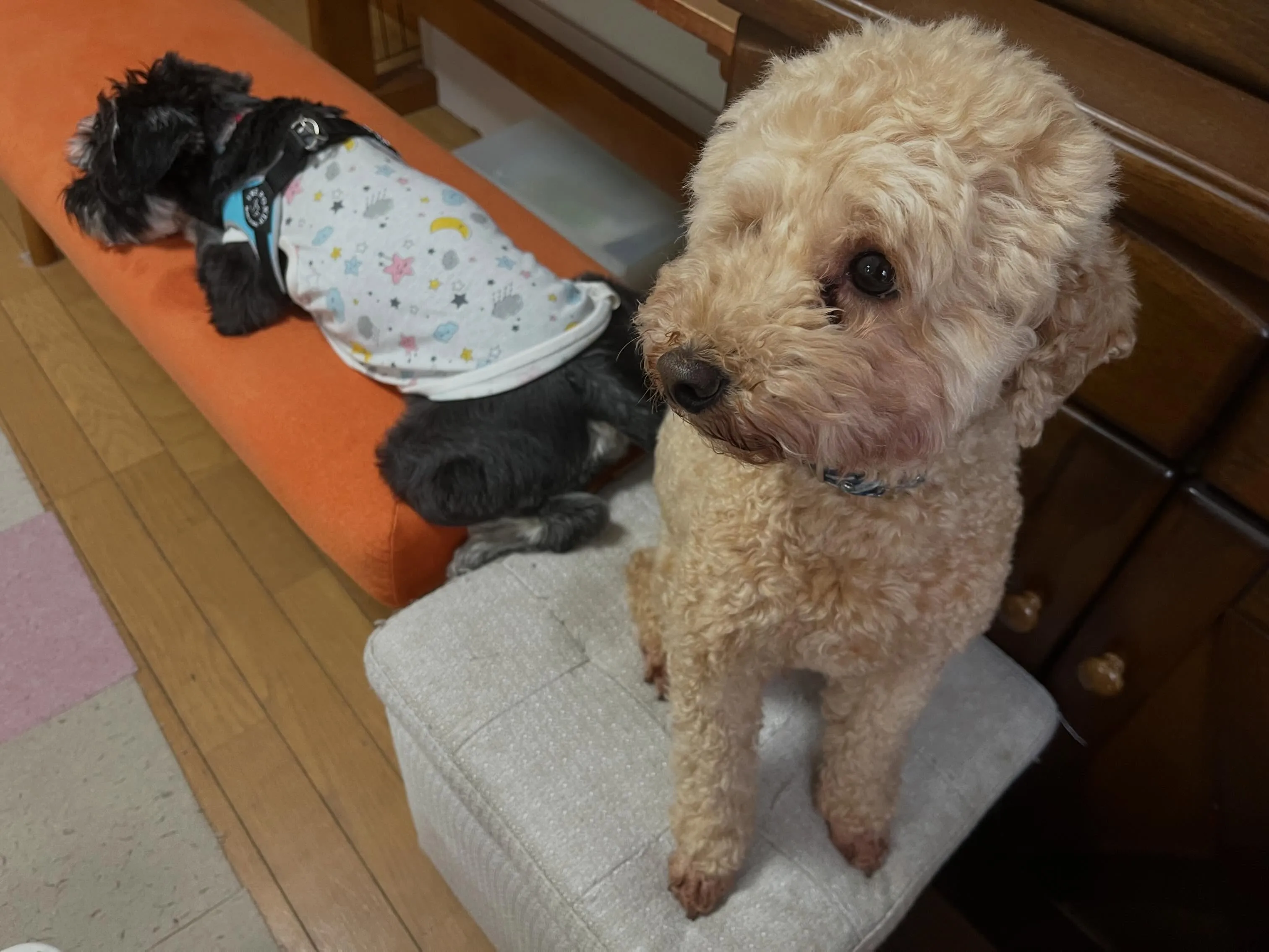 皆様、お盆休みはいかがでしたか？？🤗