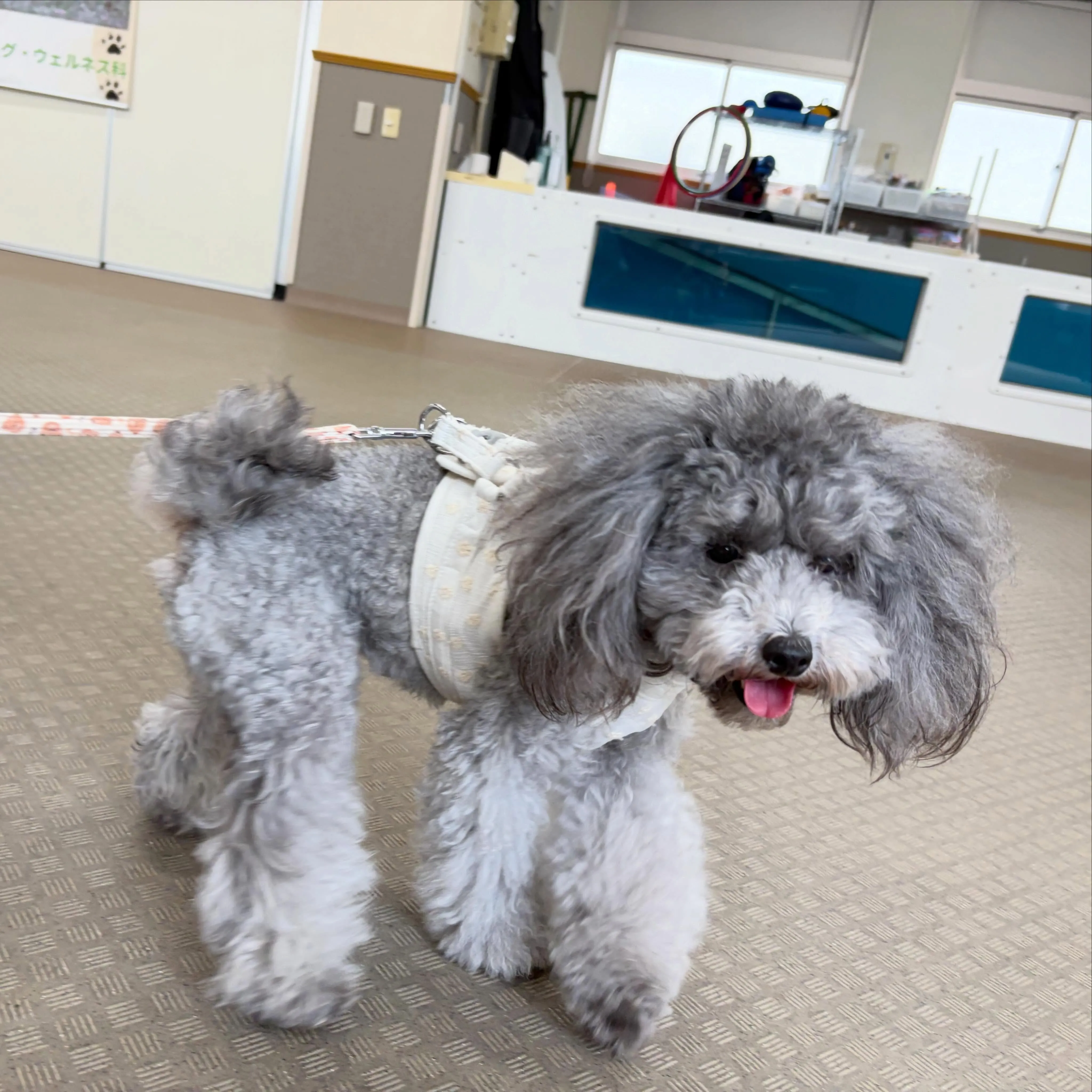 昨日は後期一回目の専門学校でした🏫
