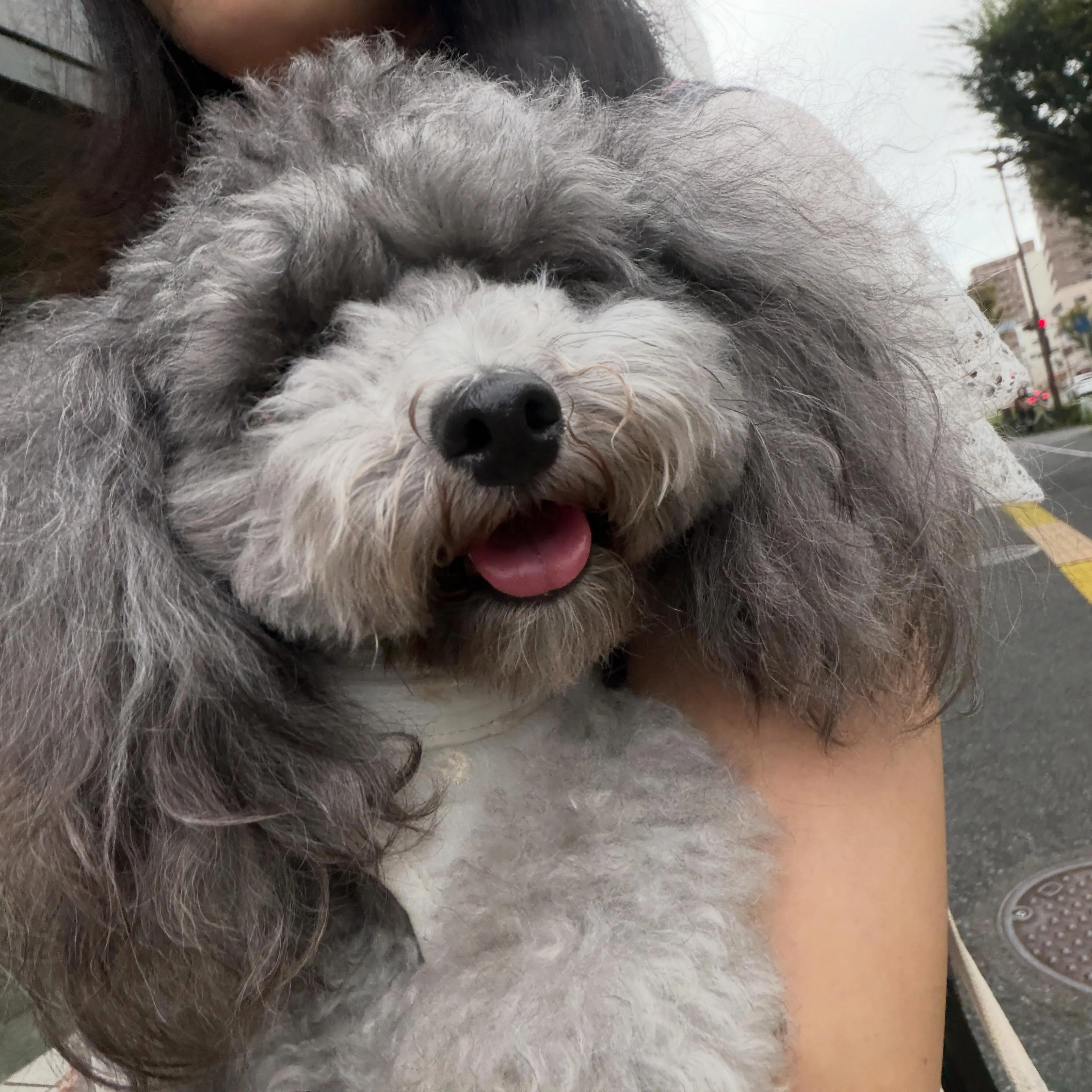 昨日は後期一回目の専門学校でした🏫