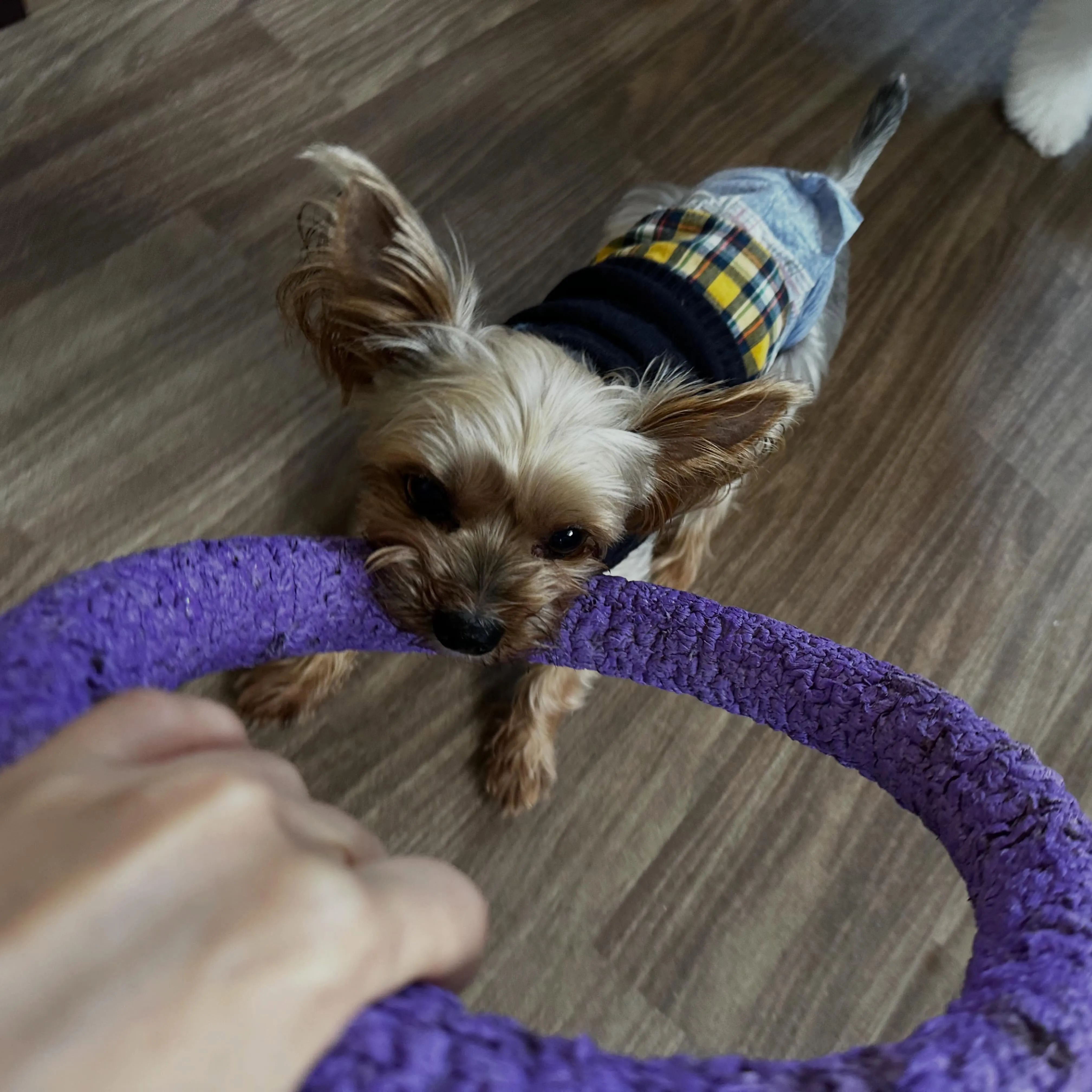 今日はお悩み相談イベントの開催日1日目でした🐾