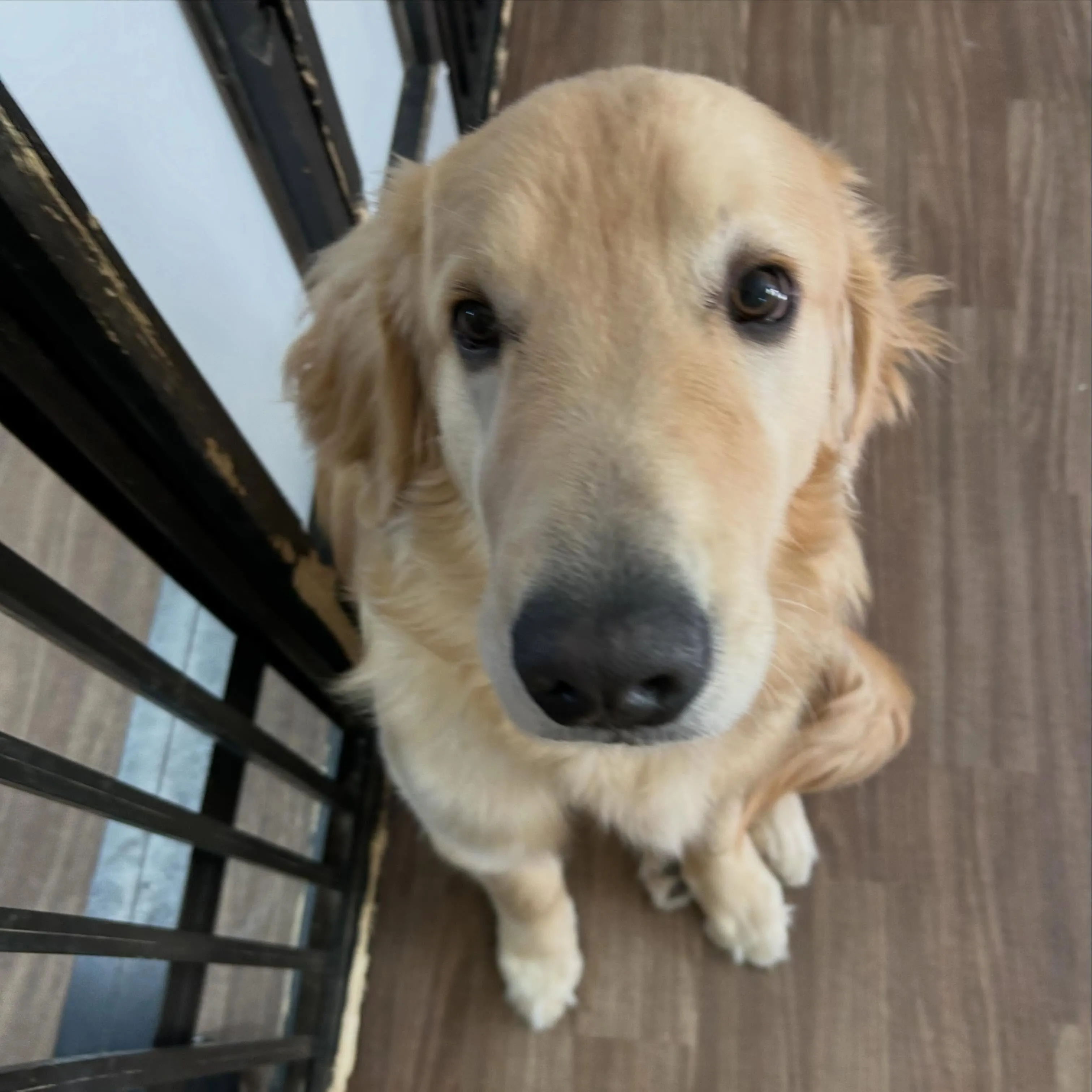 昨日はお悩み相談イベント2日目でした🐶