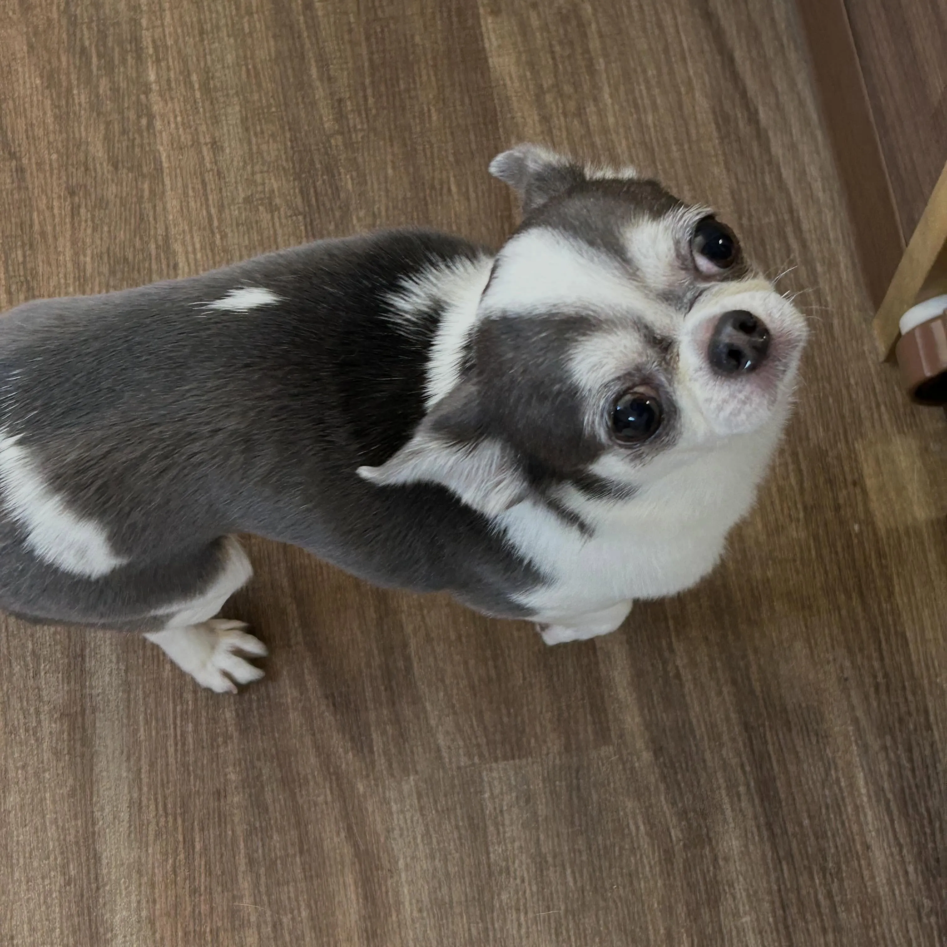 昨日はお悩み相談イベント2日目でした🐶