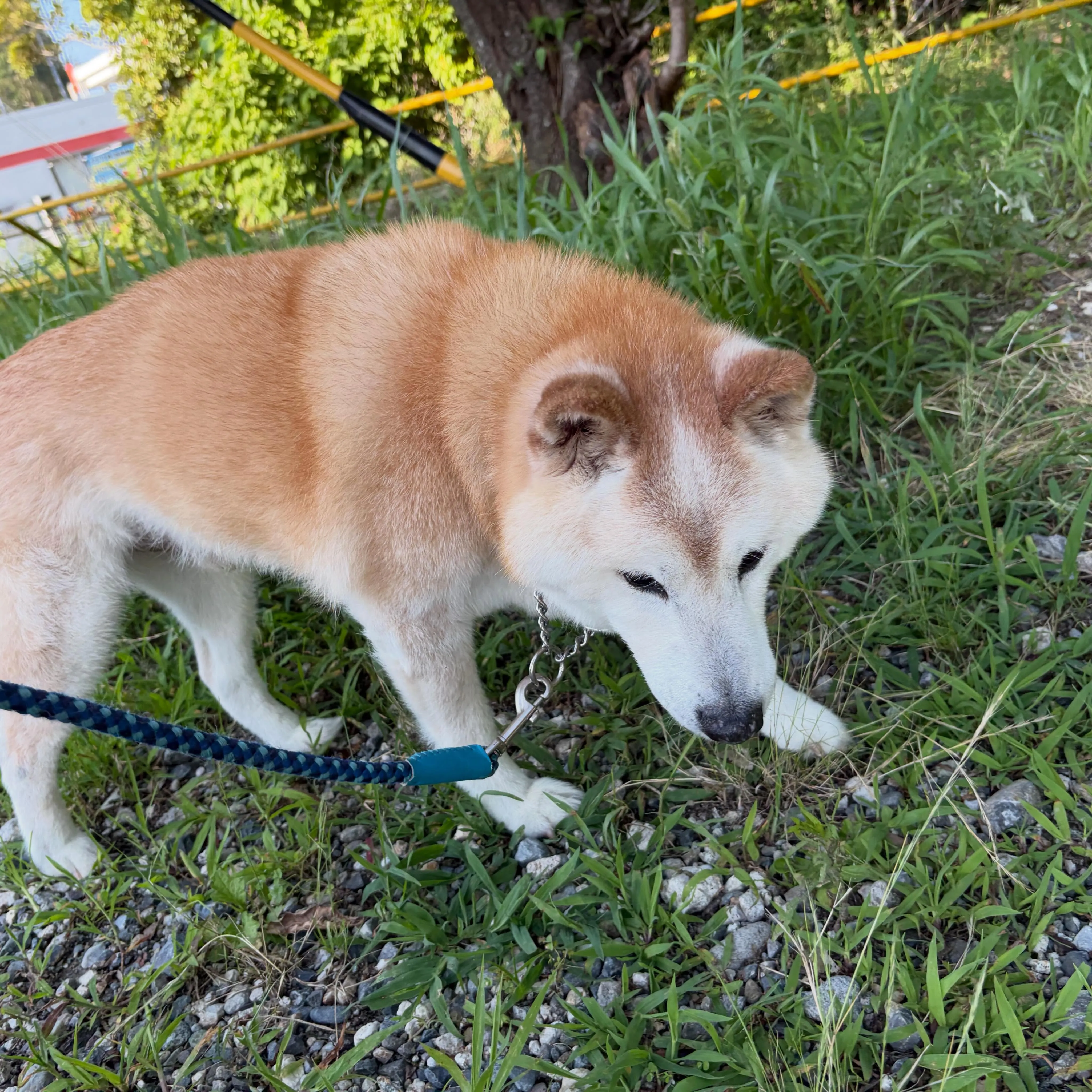 ⁡少し遅くなってしまいましたが