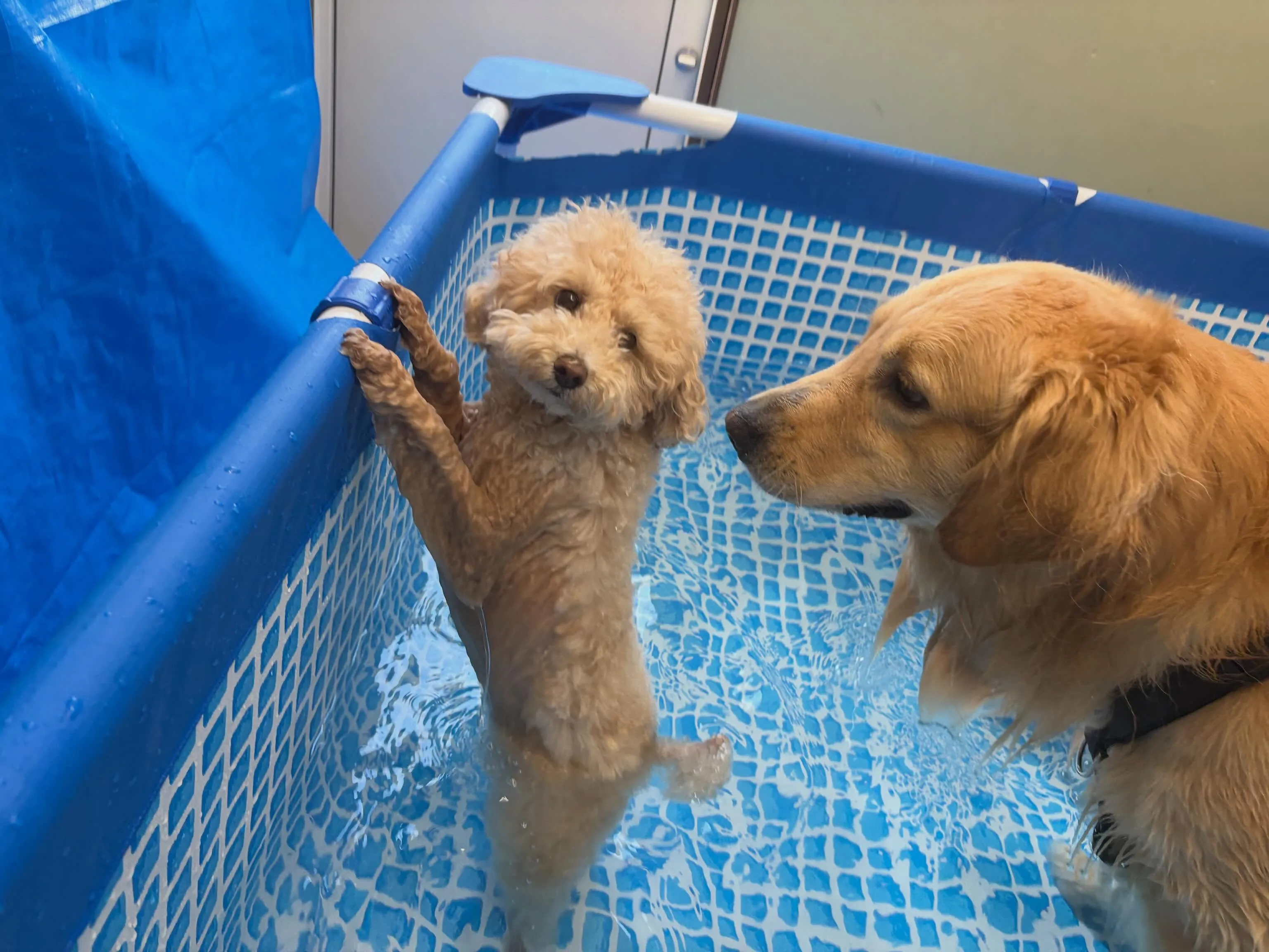 大変お待たせしました❣️