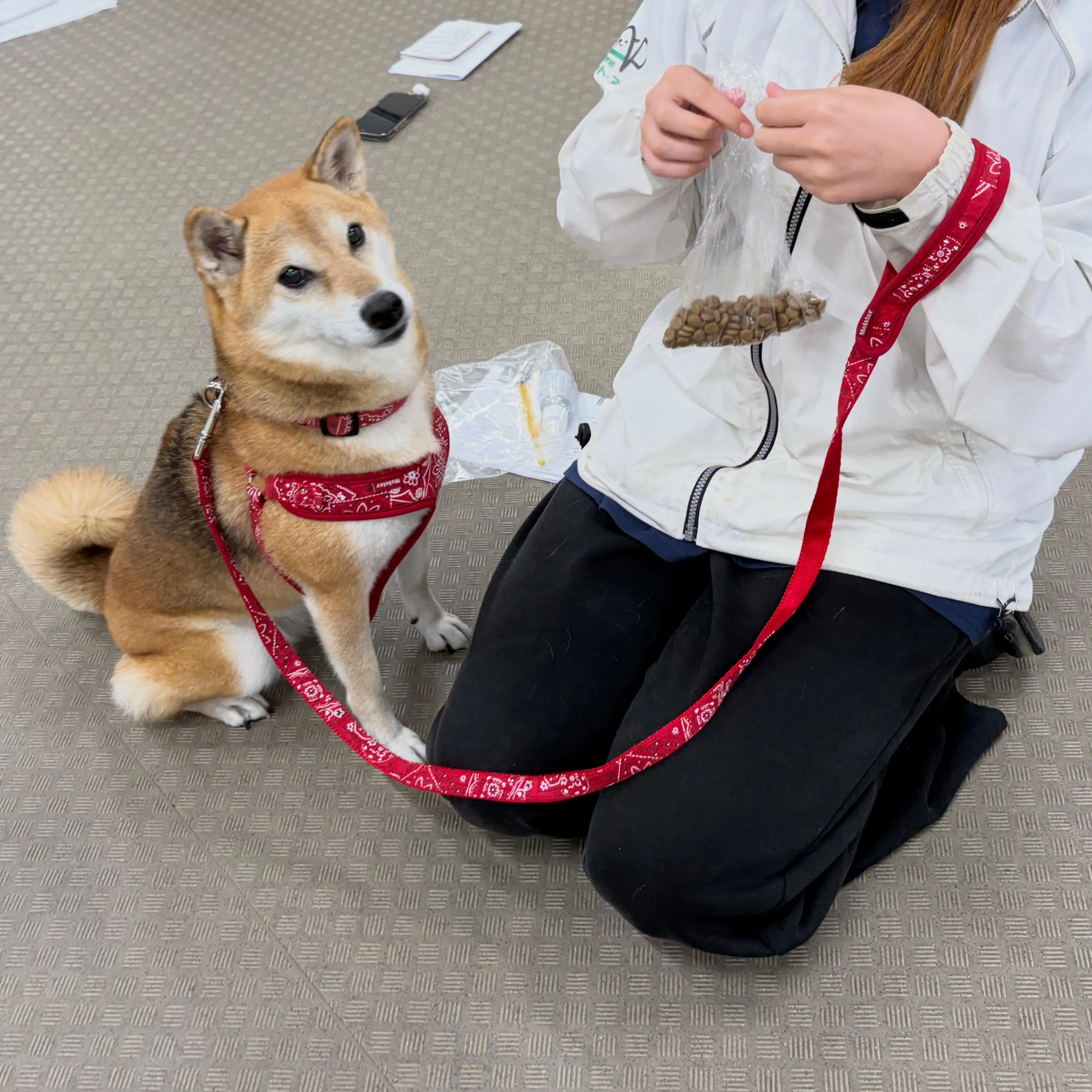 昨日は専門学校dayでした🏫