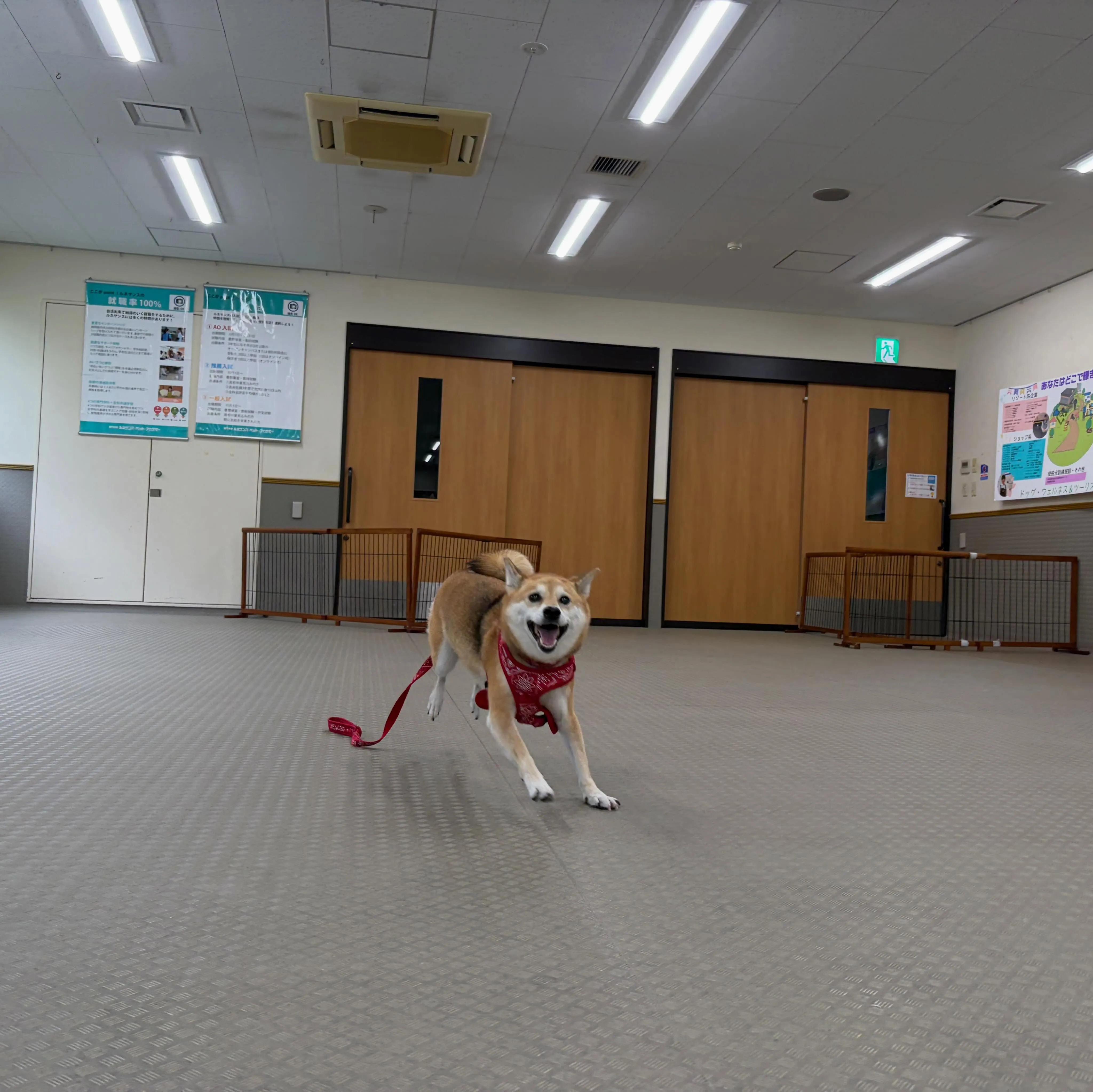 昨日は専門学校dayでした🏫
