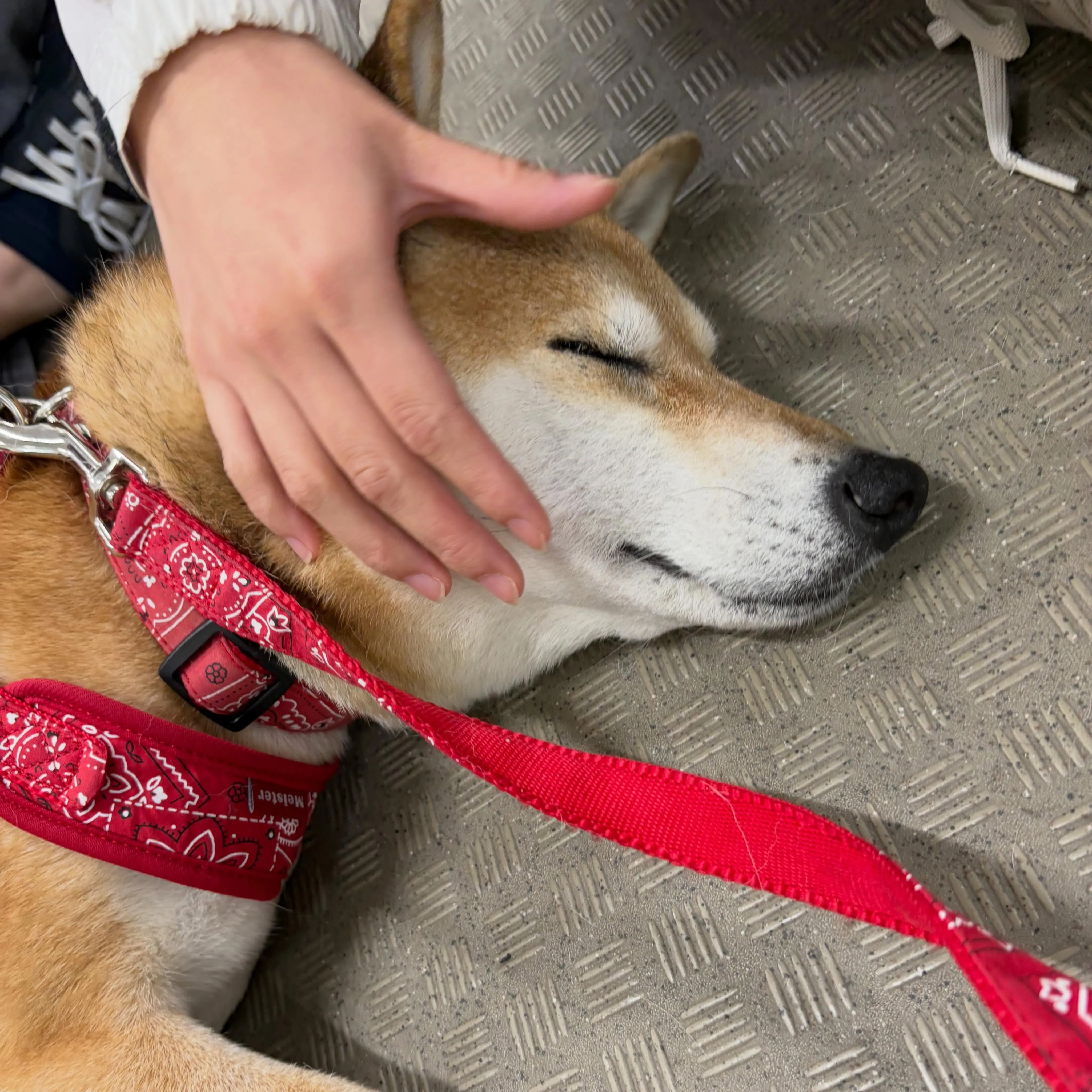 昨日は専門学校dayでした🏫