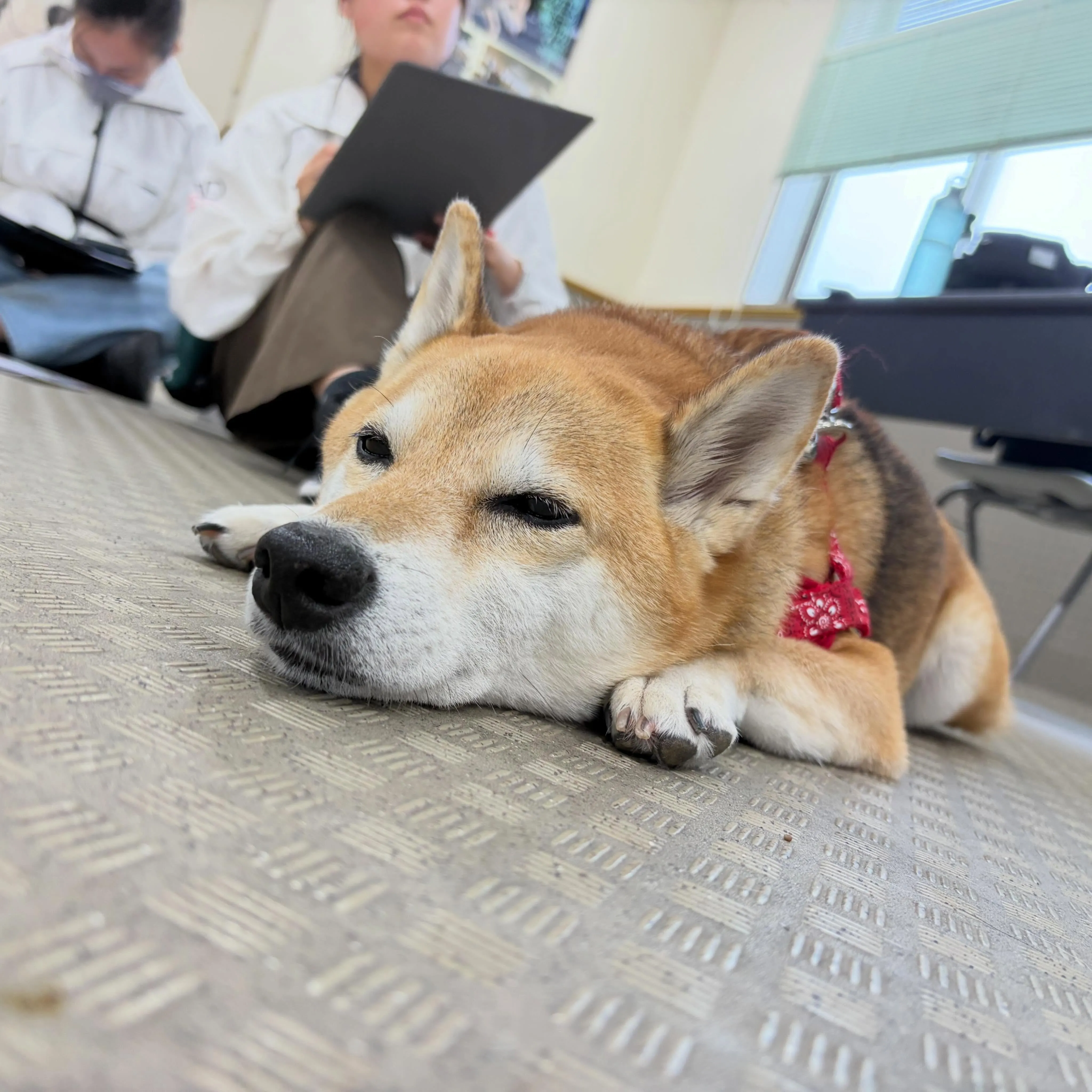 昨日は専門学校dayでした🏫
