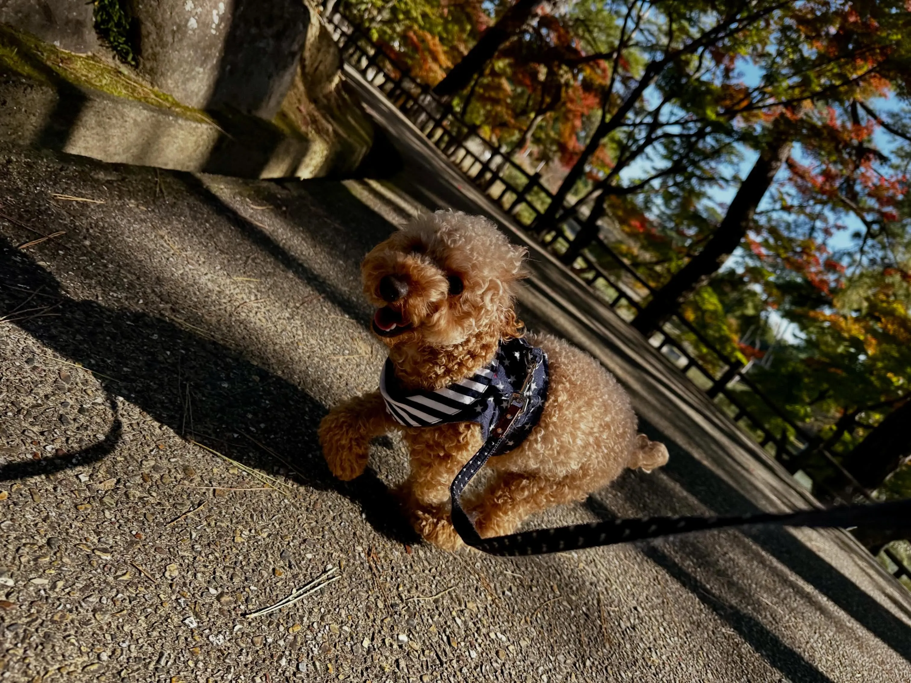 🌟9月のおすすめ商品🌟