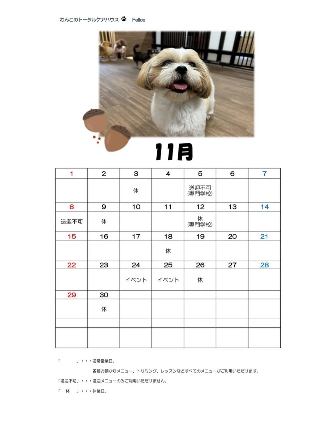 投稿が少し遅くなってしまいましたが、