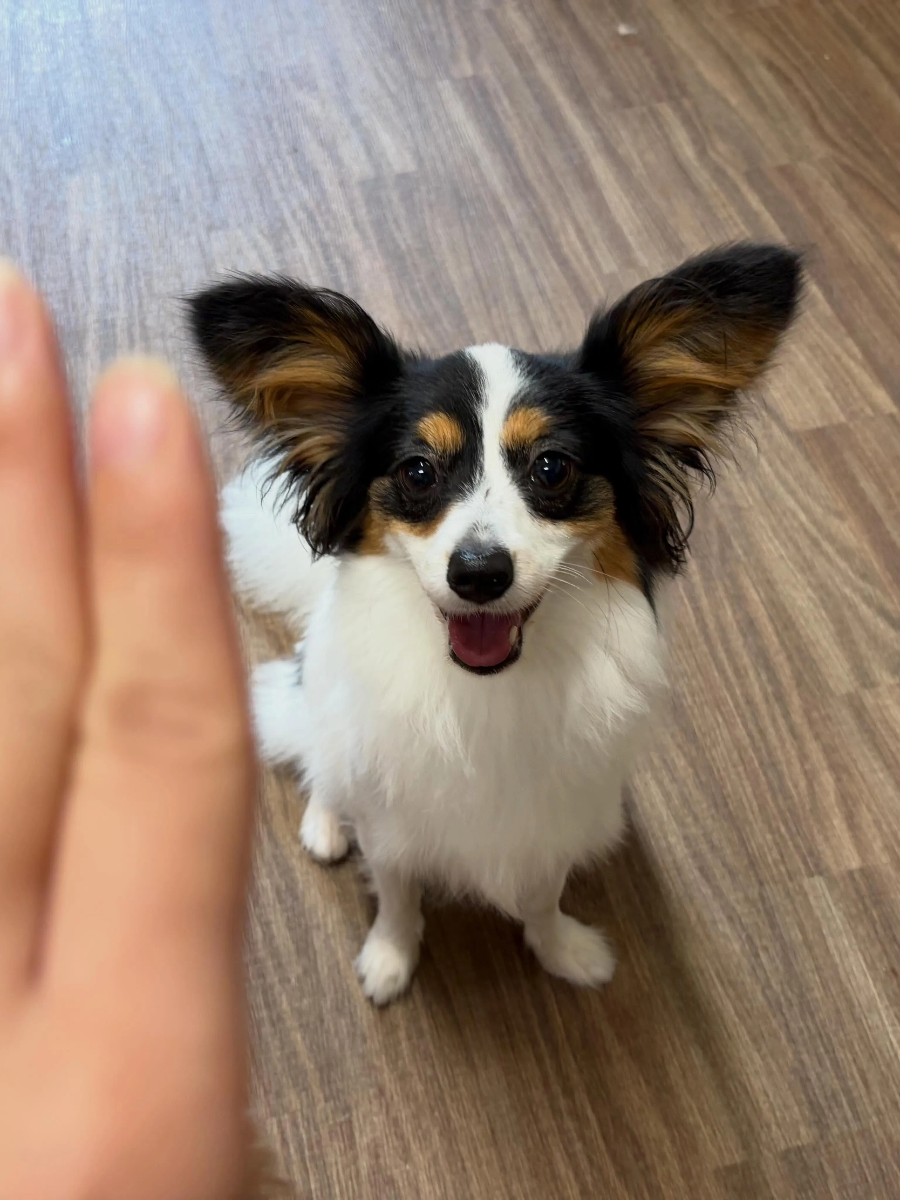 投稿が少し遅くなってしまいましたが、