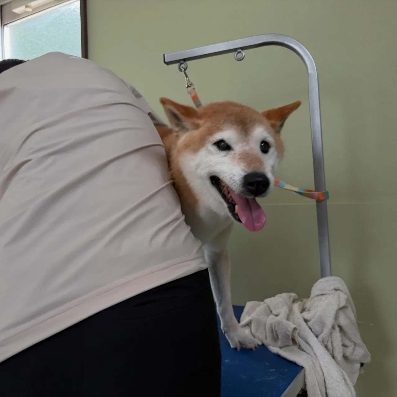 入会してくれたルーくんです🎶