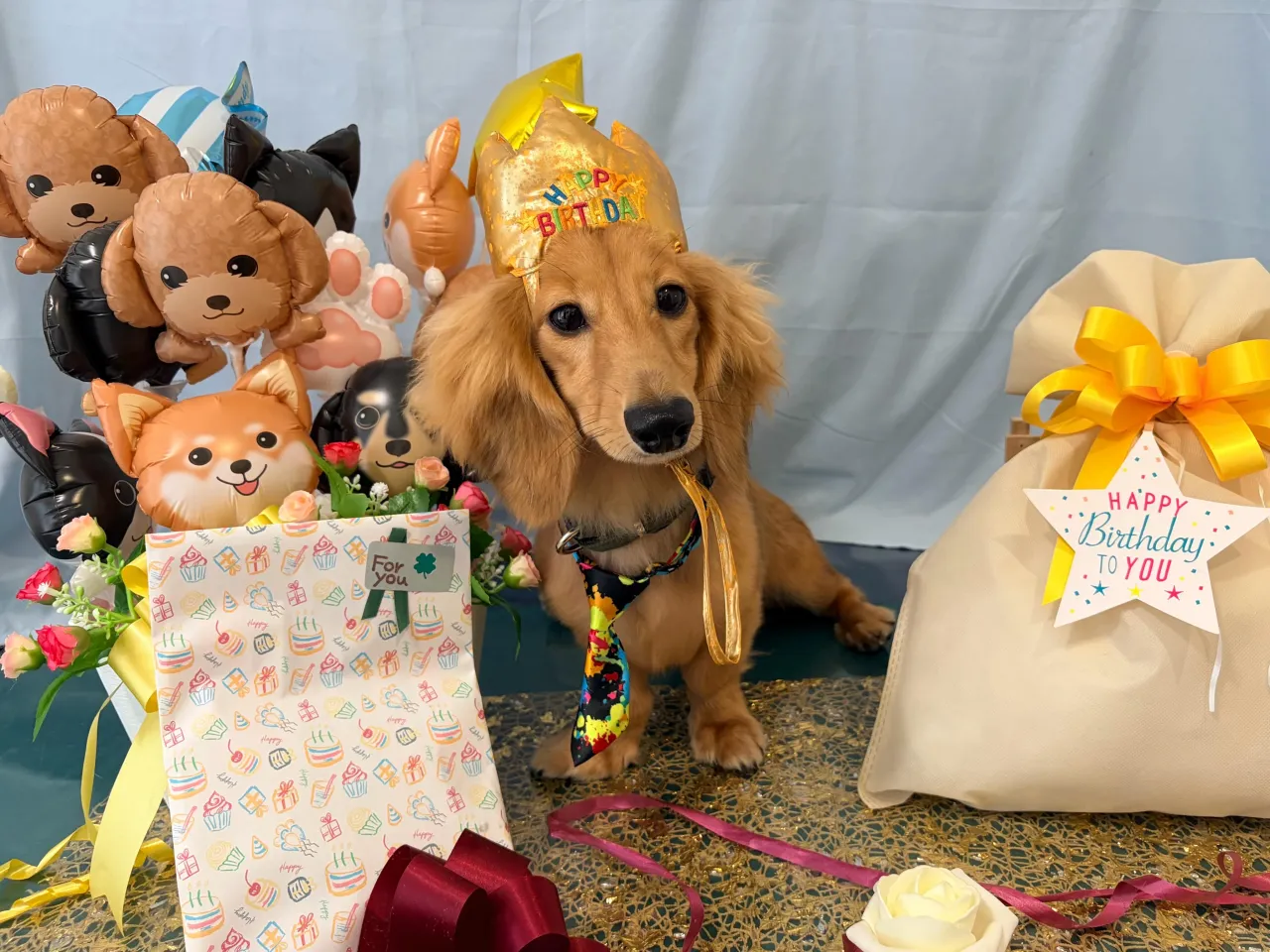 昨日はねぎくんのお誕生日でした❣️