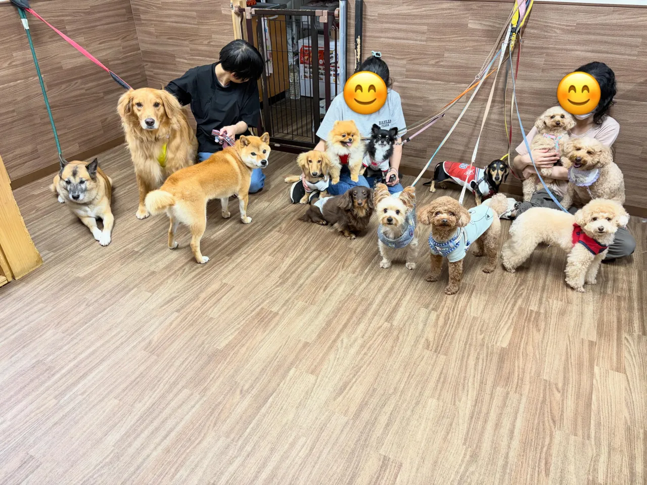 今日は体力測定イベントの日でした🎌