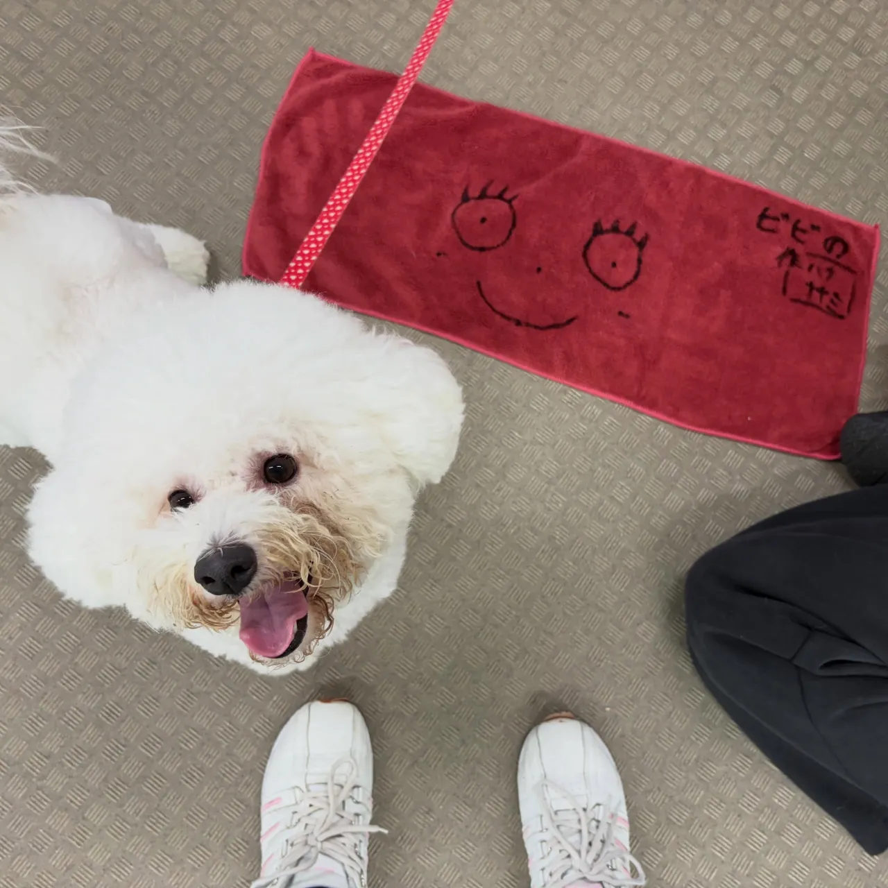 今日は専門学校day🏫✨️