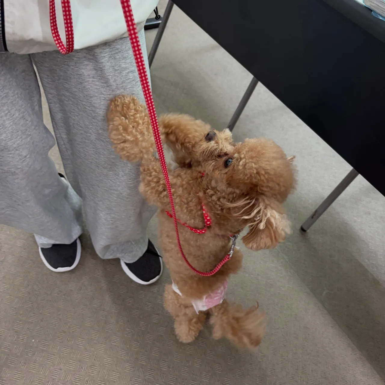 今日は専門学校day🏫✨️