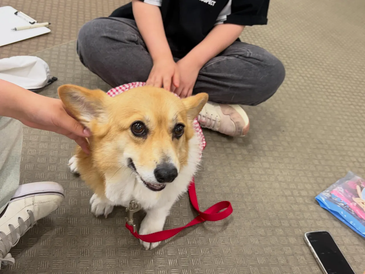昨日は専門学校dayでした✨️