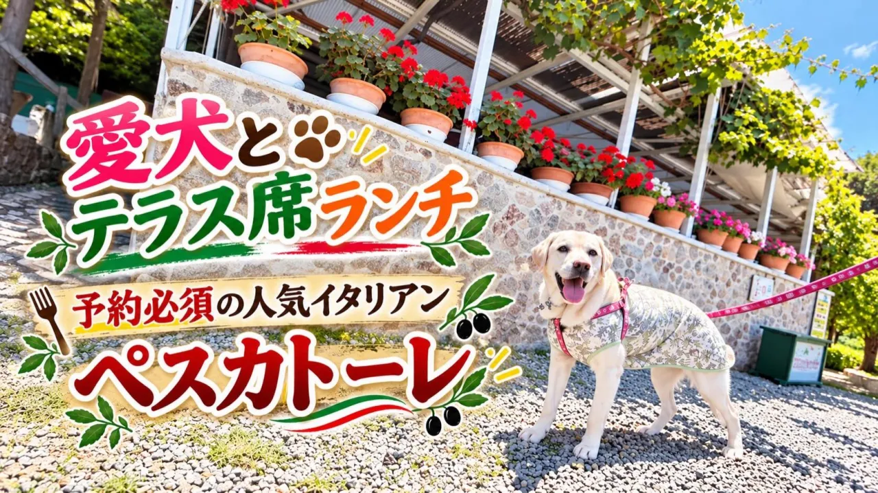プライベートで行った和歌山旅行の動画第2弾、
