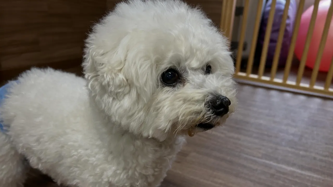 プライベートで行った和歌山旅行の動画第2弾、