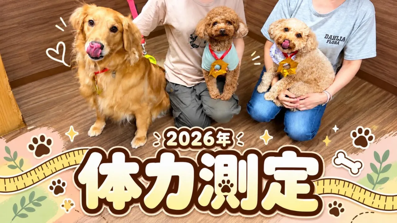 体力測定イベントの動画をYouTubeにアップしました😊