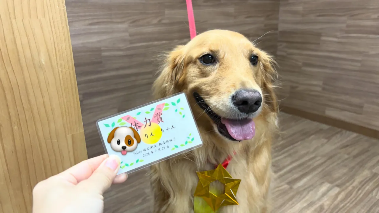 体力測定イベントの動画をYouTubeにアップしました😊