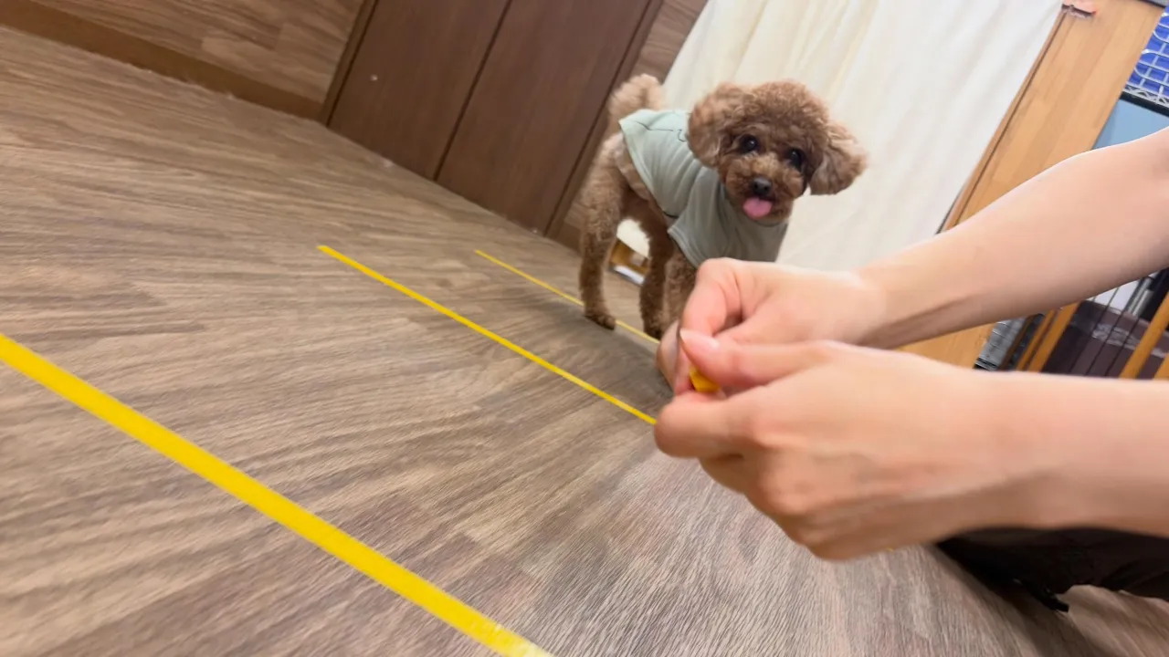 体力測定イベントの動画をYouTubeにアップしました😊