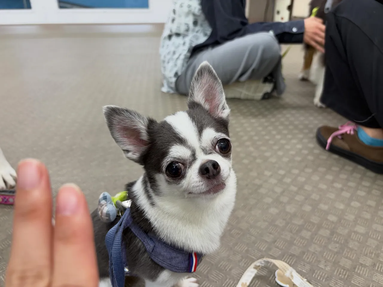 昨日は専門学校dayでした🏫