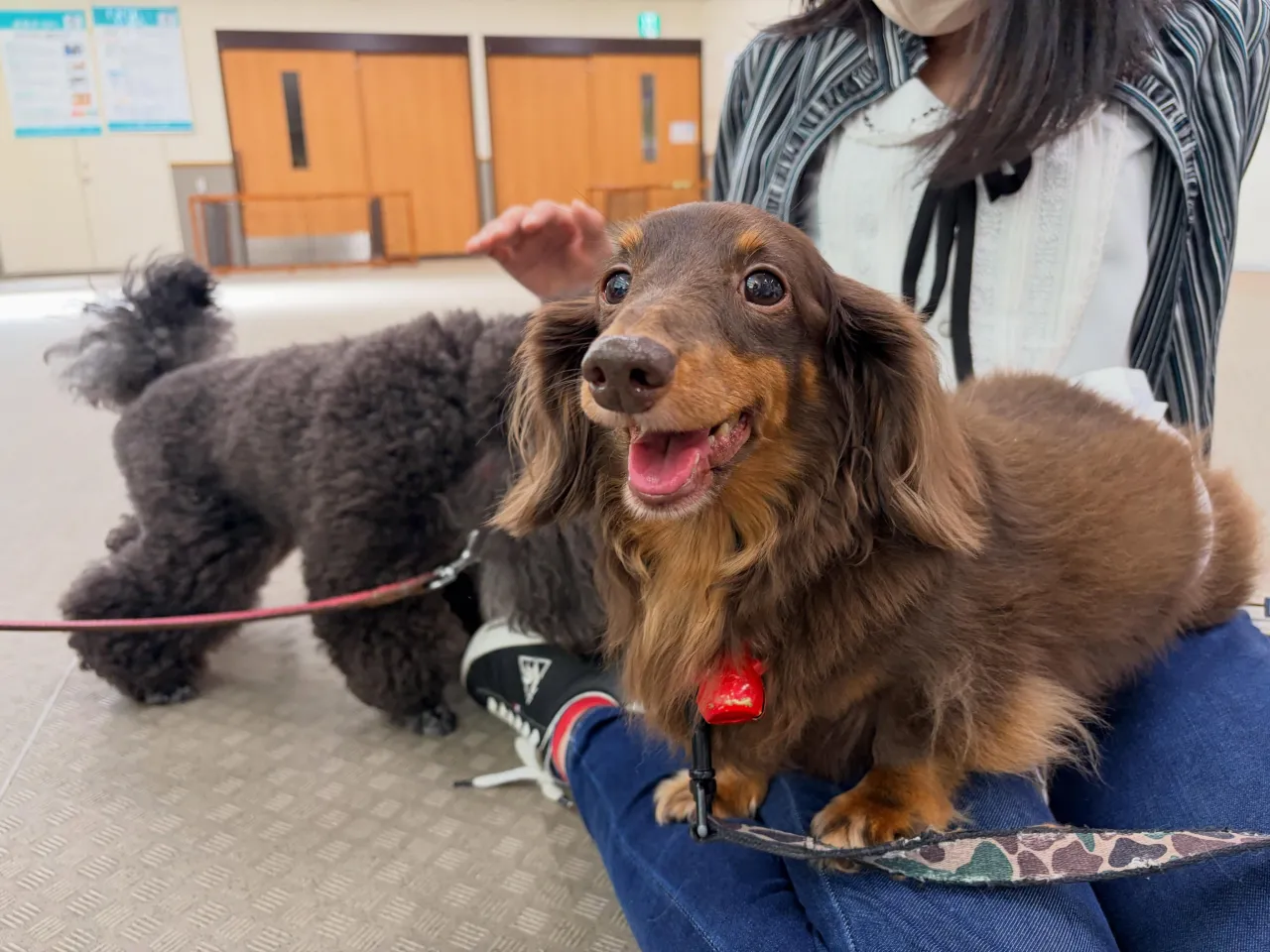 昨日はカカオくんと専門学校で講師のお仕事してきました🏫