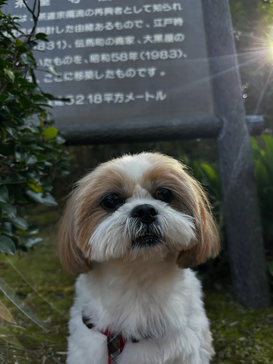 【秋の遠足イベント 予約受付終了のお知らせ】